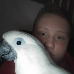 Meet your Posher, Cameron